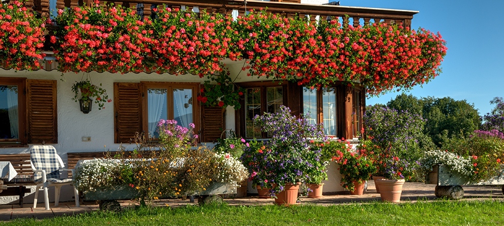 Copyright Gerlind Schiele Photography Tegernsee +49 (0) 170 - 908 85 85