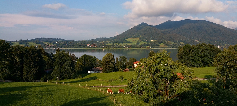 Copyright Gerlind Schiele Photography Tegernsee +49 (0) 170 - 908 85 85