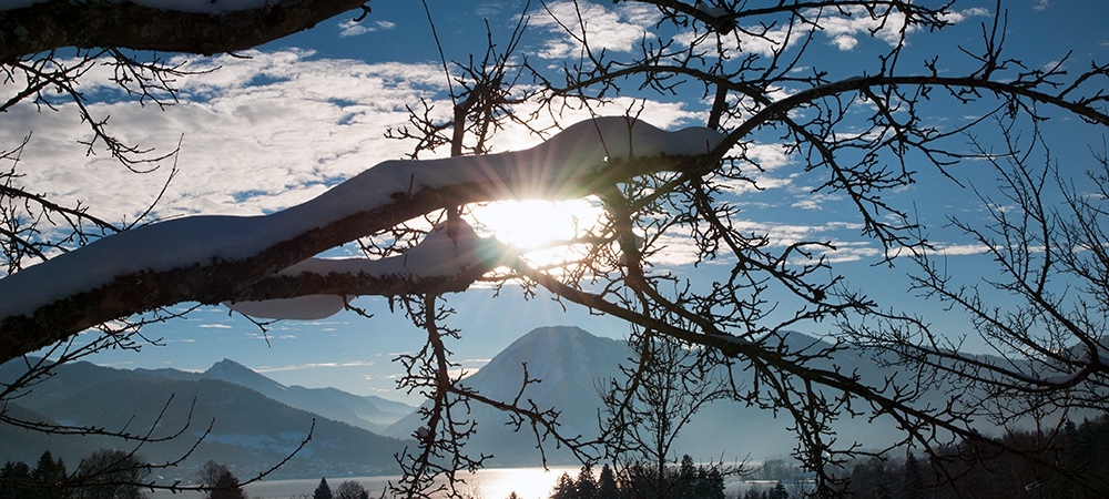 Copyright Gerlind Schiele Photography Tegernsee +49 (0) 170 - 908 85 85