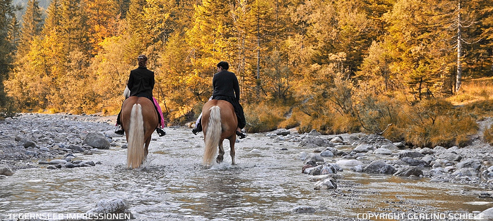 Copyright Gerlind Schiele Photography Tegernsee +49 (0) 170 - 908 85 85