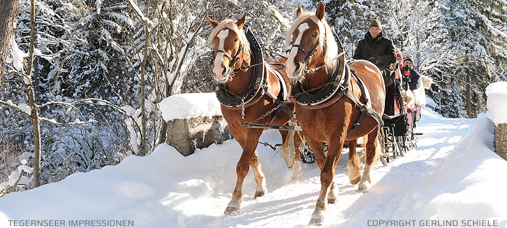 Copyright Gerlind Schiele Photography Tegernsee +49 (0) 170 - 908 85 85